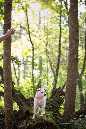 ollie lola nooyen-1382