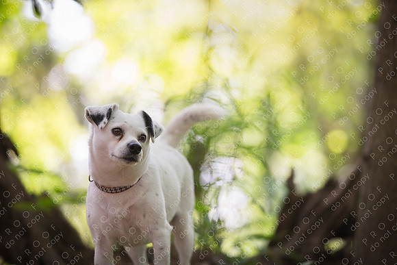 ollie lola nooyen-1402