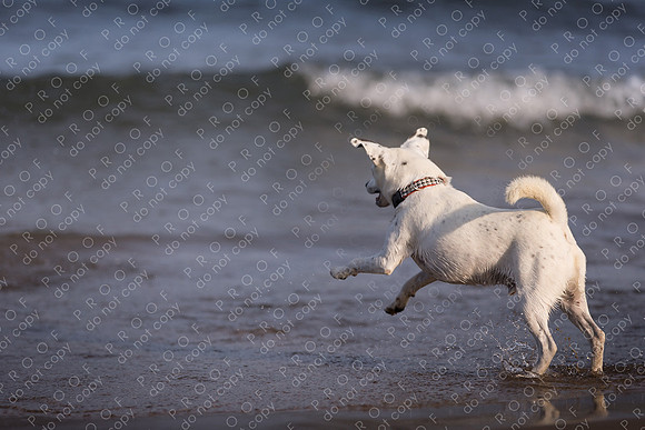 ollie lola nooyen-1521