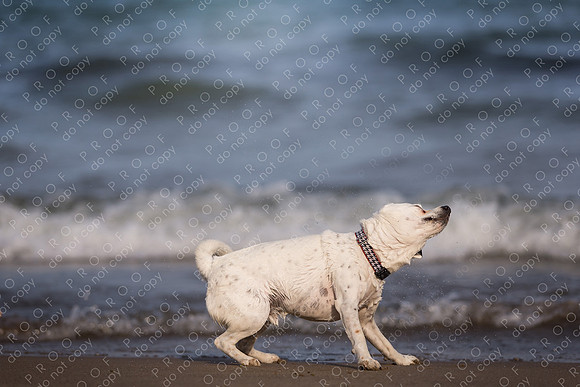 ollie lola nooyen-1567