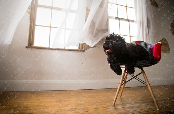 georgie seager enns studio-141-Edit
