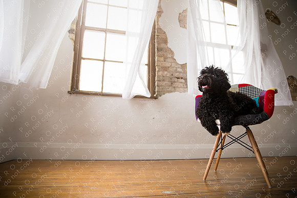 georgie seager enns studio-149