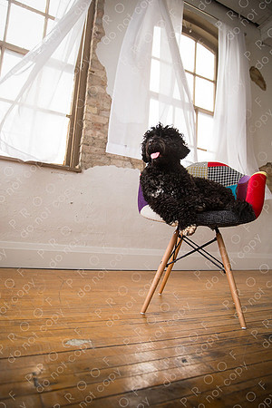 georgie seager enns studio-131