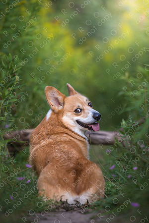 archie little-046-Edit