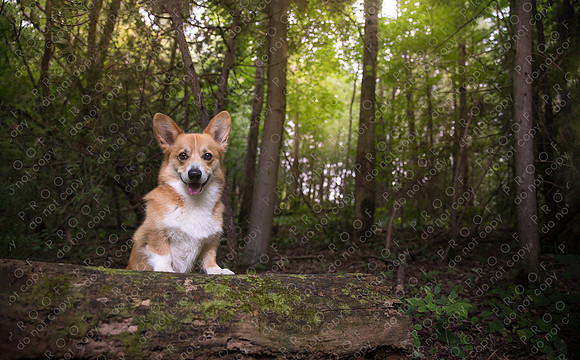 archie little-062-Edit