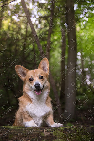 archie little-067