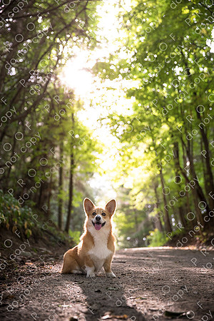 archie little-078