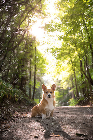 archie little-080
