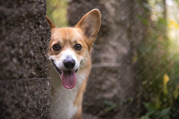 archie little-085-Edit