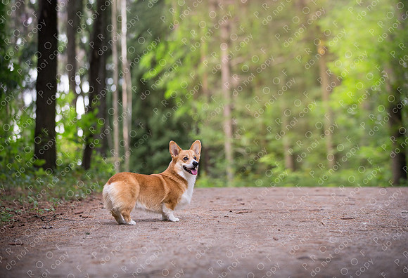 archie little-012-Edit