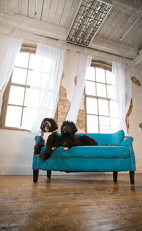georgie seager enns studio-337