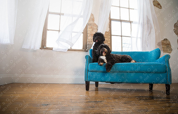 georgie seager enns studio-297