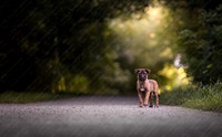 newt schwartzentruber-032-Edit-Edit