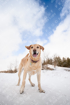 molly weisbrod-43-Edit