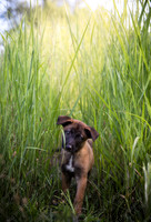 newt schwartzentruber-011-Edit