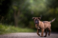 newt schwartzentruber-040-Edit-2